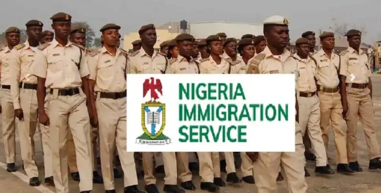 Avoid going through dangerous routes to japa’ — Immigration urges Nigerians