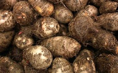 health-problems-you-never-knew-cocoyam-could-help-manage-or-prevent