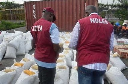 ndlea-arrests-10-suspected-drug-dealers