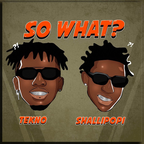 download-music-tekno-x-shallipopi-so-what