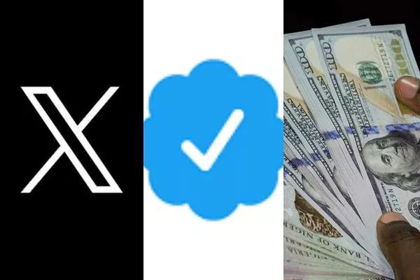 how-to-get-verified-and-earn-money-on-twitter-x