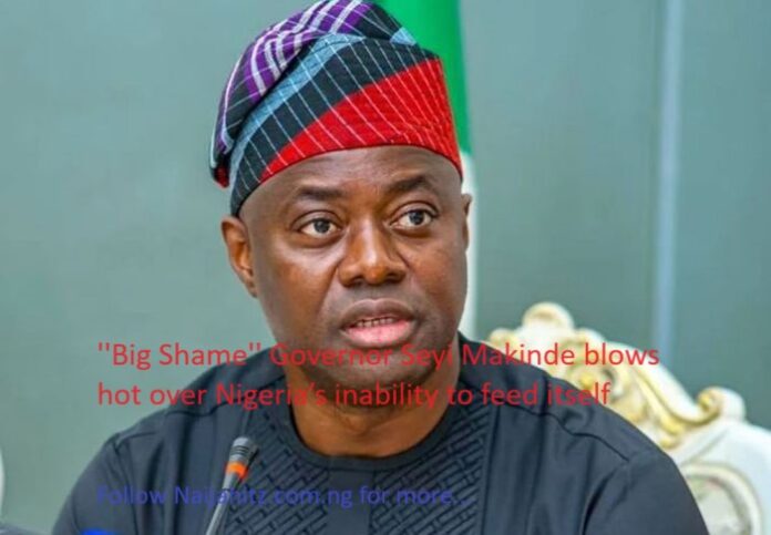 big-shame-governor-seyi