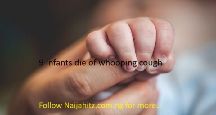 9-infants-die-of-whooping