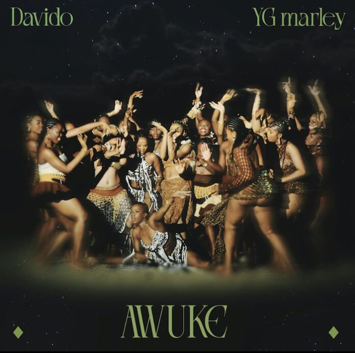 download-music-davido-ft-yg-marley-awuke