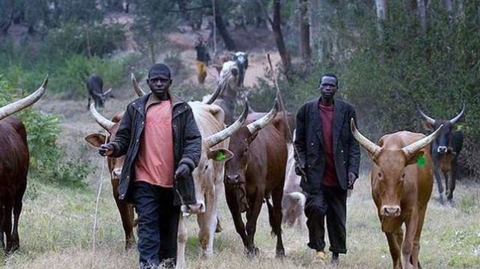 6-people-dead-as-fulani-herdsmen-attack-benue