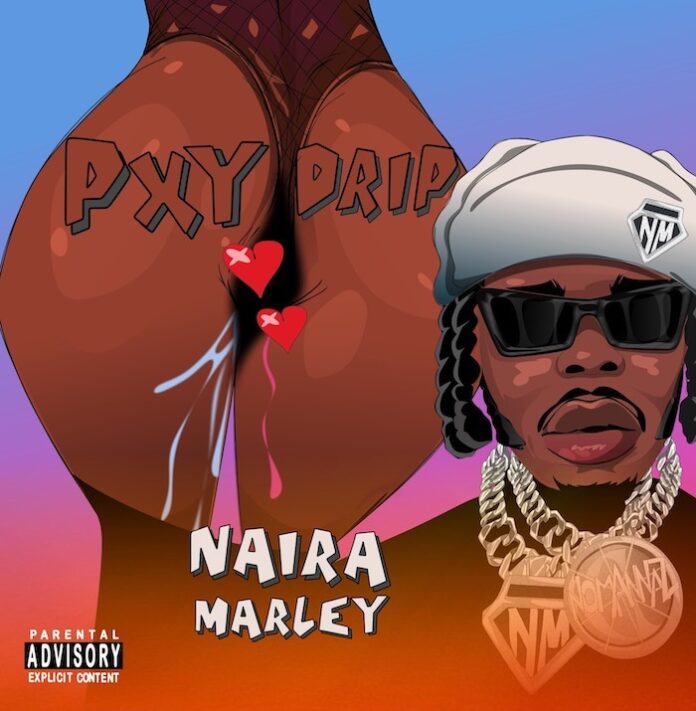 download-music-naira-marley-pxy-drip