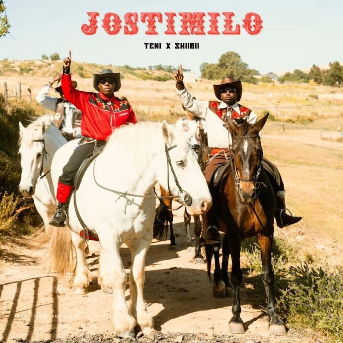 download-music-teni-ft-skiibii-jostimilo